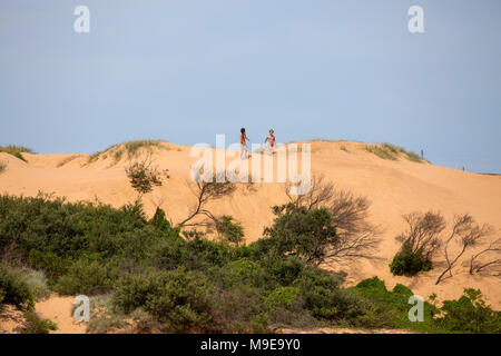 Narrabeen beach, lagoon and sand dunes in Sydney,Australia Stock Photo