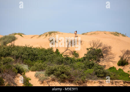 Narrabeen beach, lagoon and sand dunes in Sydney,Australia Stock Photo