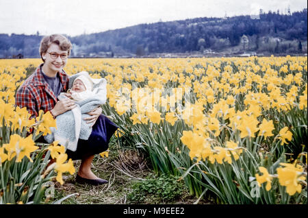 Young smiling woman wearing glasses and a check shirt sitting in a field of daffodils holding a crying baby wrapped in a shawl, Puyallup Valley, Washington state, USA in 1950s