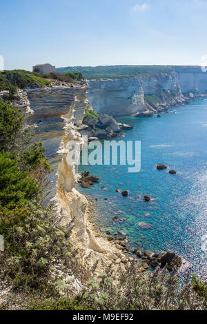 The chalkstone cliff at Bonifacio, Corsica, France, Mediterranean, Europe Stock Photo