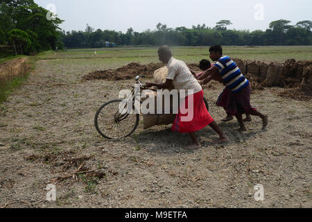 Dhaka, Bangladesh on March 24, 2018. Bangladeshi workers carry potato's bags by bicycle after harvesting potato from the fields in Munshiganj near Dhaka, Bangladesh on March 24, 2018 Credit: Mamunur Rashid/Alamy Live News Stock Photo