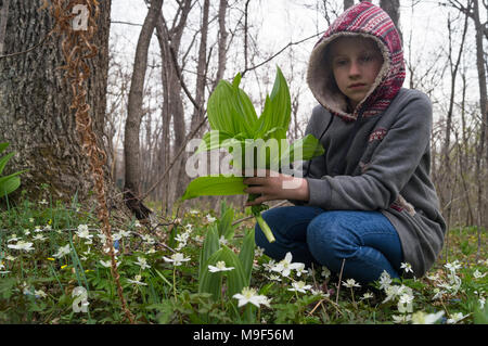 Girl child teenager in the forest find and cuts the first flowers of snowdrops after the departure of winter and the arrival of spring. Welcome spring Stock Photo