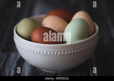 Farm fresh eggs in multiple colors, in a white porcelain bowl on a wooden background Stock Photo