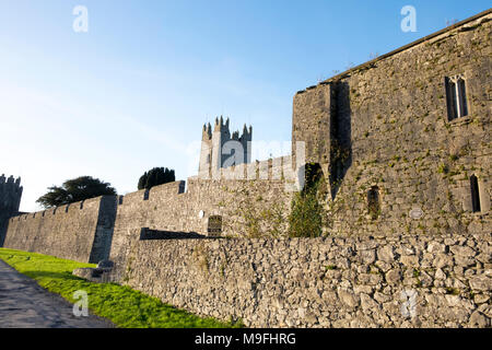 Medieval Town Wall in Fethard Co Tipperary Stock Photo - Alamy