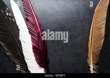 Colorful black background surface with big brown, white, burgundy and black feathers Stock Photo