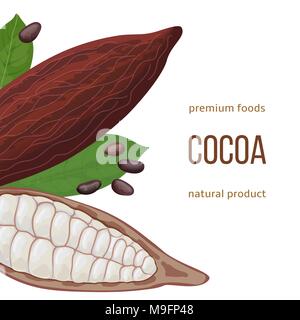 Whole and cracked Ripe Cocoa pod fruit, beans, leaves with text natural foods premium product. Vertical label. Stock Vector