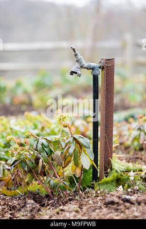 Garden water standpipe Stock Photo - Alamy
