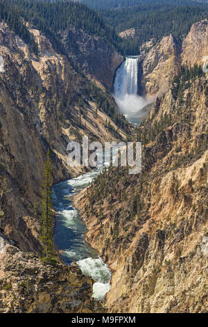 Lower Yellowstone Falls in the Grand Canyon of the Yellowstone from Artist Point Yellowstone National Park Wyoming USA Stock Photo