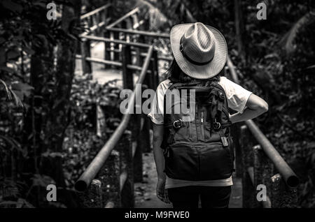 Black and white photo of Asian woman tourist with hat and backpack standing and start walking on nature trail bridge in evergreen forest. Alone young  Stock Photo
