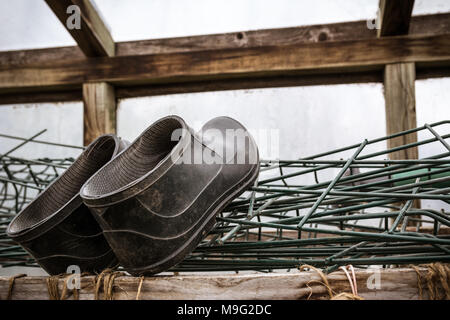 Rubber boots of a farmer lying in greenhouse. Agriculture and tough work concept. Stock Photo