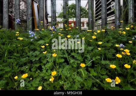 London Underground Tube Station: Chalfont & Latimer Stock Photo