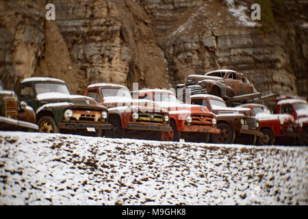 A row of old Ford pickup trucks from the 1940s and 1950s, in an old quarry, east of Clark Fork Idaho. Stock Photo