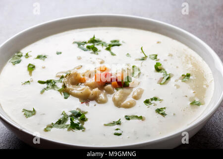 Romanian traditional soup - Ciorba de Burta in white bowl Stock Photo