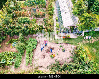 Happy healthy senior couple with their grandaughter gardening in the backyard garden. Aerial view. Stock Photo