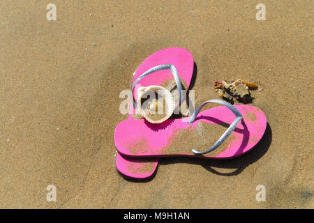 Pink flip flops in the sand Stock Photo