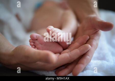 Newborn's feet Stock Photo