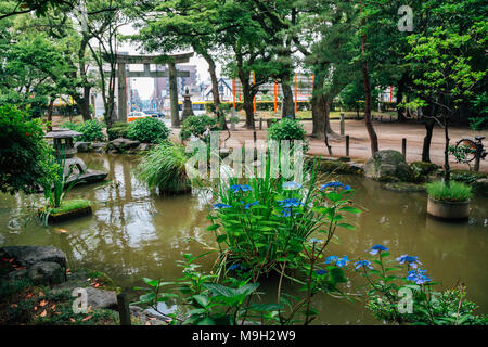 Sumiyoshi shrine and nature view in Fukuoka, Japan - lotus flower focus Stock Photo