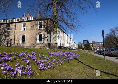 A sunny spring morning in Harrogate,North Yorkshire,England,UK. Stock Photo