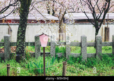 Hirano Shrine cherry blossom festival in Kyoto, Japan Stock Photo