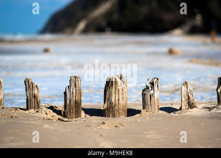 Seaside landscape, old beams sticking out on the beach, winter landscape Baltic sea Stock Photo