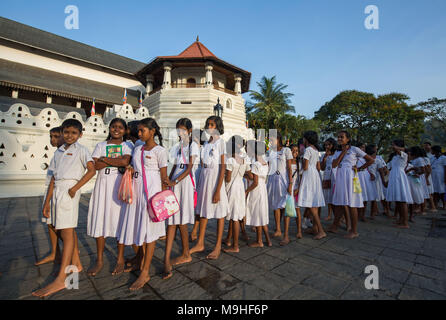 School students in a queue outside Temple of the Tooth, Kandy, Sri Lanka, Asia. Stock Photo