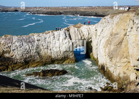 Hikers walking on Bwa Gwyn or White Arch rock formation on Isle of Anglesey Coastal Path on seacliffs in Penrhyn Bay. Rhoscolyn Anglesey Wales UK Stock Photo