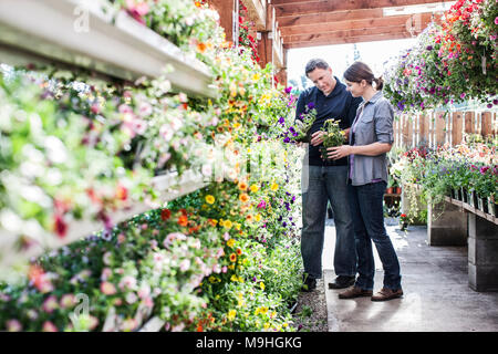 Caucasian man and woman shopping for new plants at a garden center nurery. Stock Photo