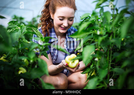 Young happy woman working in her greenhouse Stock Photo