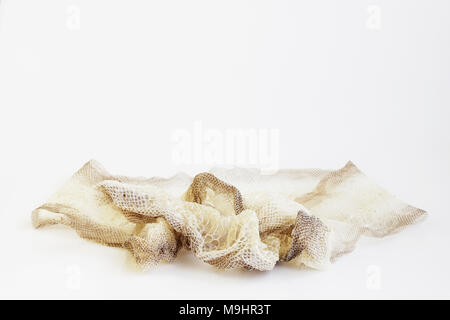 jacket cast-off skin of snake Royal Python on a white background Stock Photo