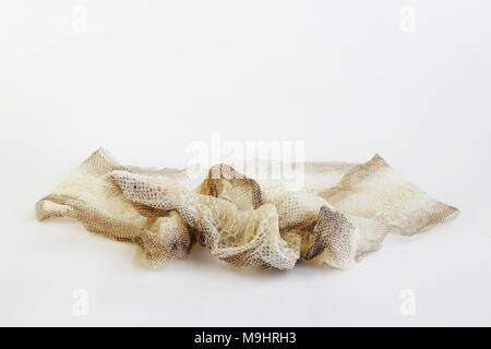 jacket cast-off skin of snake Royal Python on a white background Stock Photo