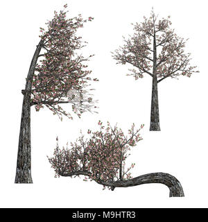 Bonsai Trees isolated on white, 3d render. Stock Photo