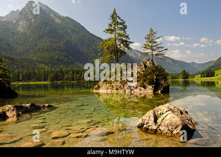 Pines growing on the rock in shallow water of Königssee lake Stock Photo