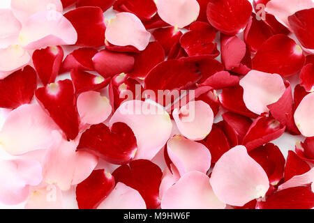 Real Rose Petals Pink Red White Stock Photo 2617796