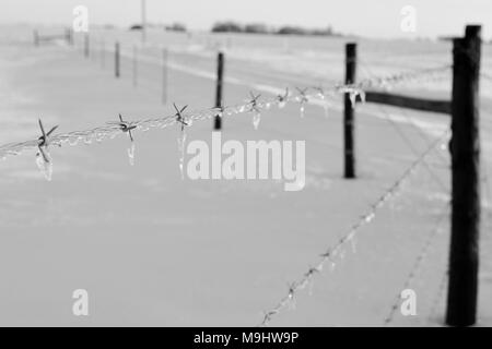 Ice on a barbed wire fence in black and white, Iowa Stock Photo