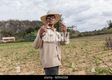 VINALES, CUBA - MARCH 14, 2018. Cuban man with a white hat on and glasses a tobacco farm.. Vinales Cuba. Stock Photo