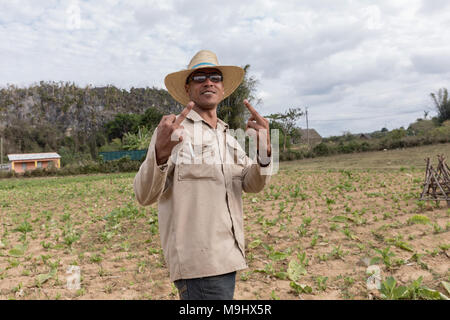 VINALES, CUBA - MARCH 14, 2018. Cuban man with a white hat on and glasses a tobacco farm.. Vinales Cuba. Stock Photo