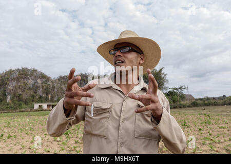 VINALES, CUBA - MARCH 14, 2018. Cuban man with a white hat on and glasses a tobacco farm.. Vinales Cuba. Stock Photo