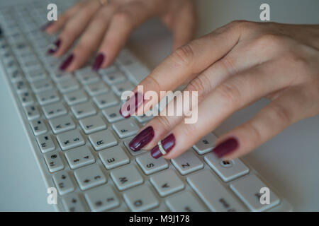 Female hands on a computer keyboard close-up. Woman working on computer Stock Photo