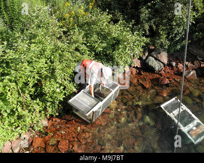 USFWS at work protecting the environment. Stock Photo