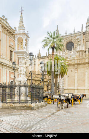 Horse drawn carriages at the Plaza del Triunfo in the centre of the Spanish city of Seville, Andalusia, Spain Stock Photo