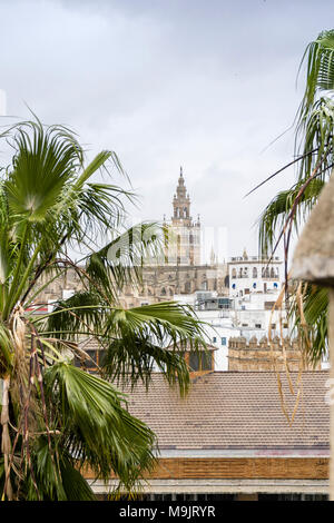 View over the Old Town of Sevilla to the Giralda bell tower of the Seville Cathedral, Seville, Andalusia, Spain Stock Photo