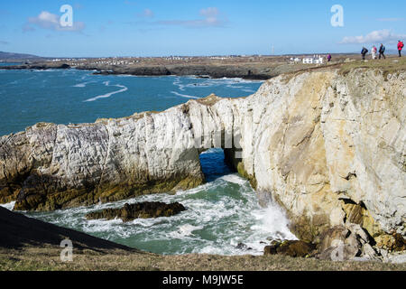 Bwa Gwyn or White Arch natural rock formation on Isle of Anglesey Coast Path on seacliffs in Geopark. Rhoscolyn Holy Island Anglesey north Wales UK Stock Photo