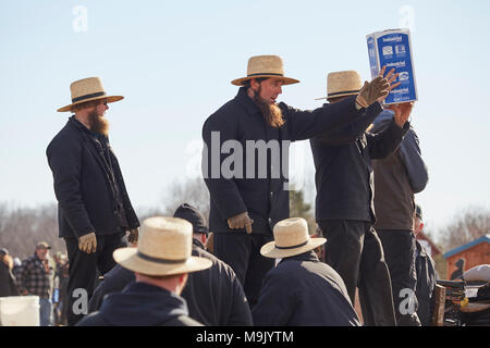 Amish auctioneers at a mud sale. Lancaster County, Pennsylvania, USA Stock Photo