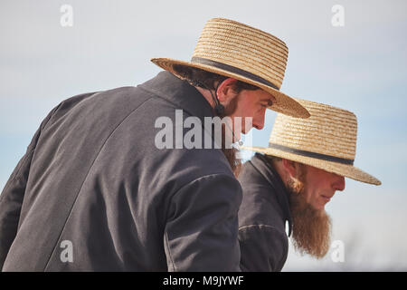 Amish auctioneers at a mud sale, Lancaster County, Pennsylvania, USA Stock Photo