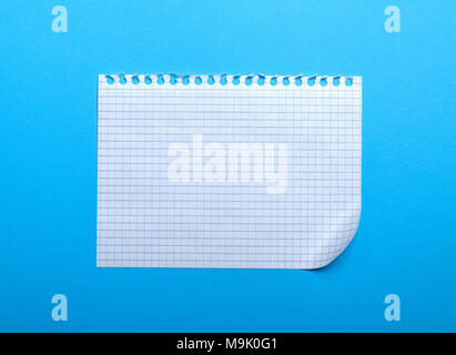 blank white sheet in a box with a curved corner on a blue background, a sheet is torn from a notebook Stock Photo