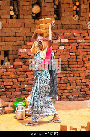 Women are employed in the heavy work of brick making industry in Periyakulam town - West Tamil Nadu, India. Stock Photo