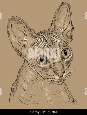 Vector outline monochrome portrait of hairless curious Sphynx cat in black and white colors. Hand drawing illustration isolated on brown background Stock Vector