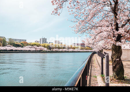 Cherry blossoms road with river in Kema Sakuranomiya Park, Osaka, Japan Stock Photo
