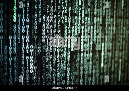 Computer AI intelligence data internet connection concepts. binary code numbers background on computer monitor for computer technology concepts. Priva Stock Photo