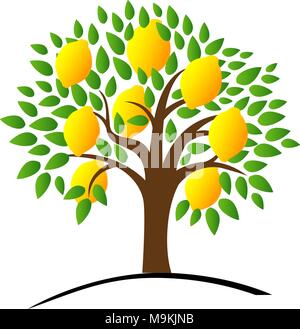 Lemon tree with green leaves. Vector illustration of a tree with Stock Vector